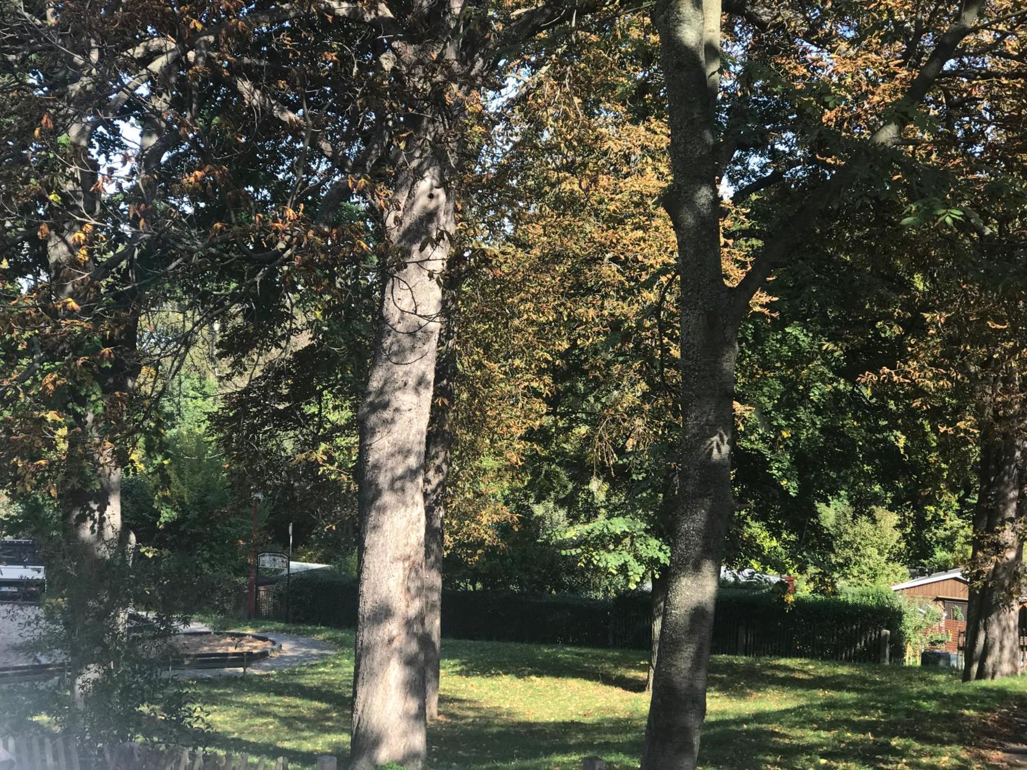 Domizil Eutschuetzgruen Appartement Bannewitz Buitenkant foto